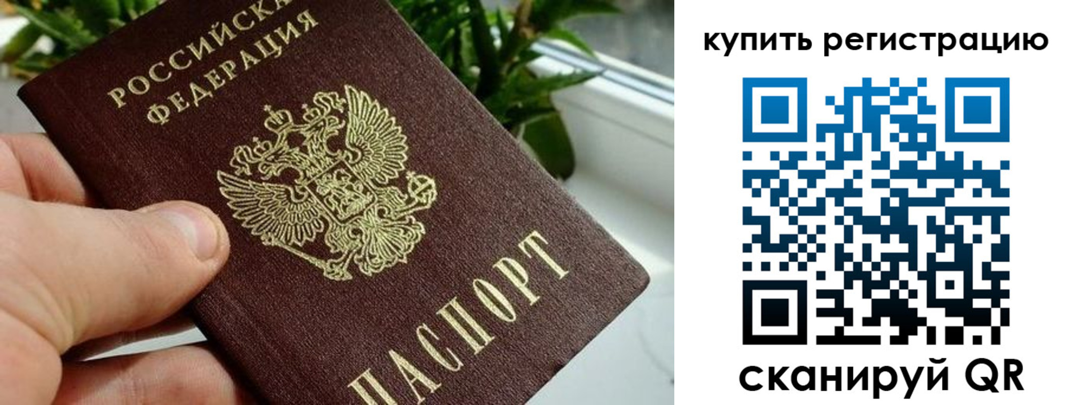 прописка гарантия в Осташкове
